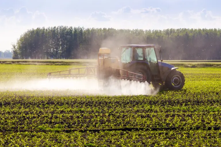 Tractor Spraying Corn