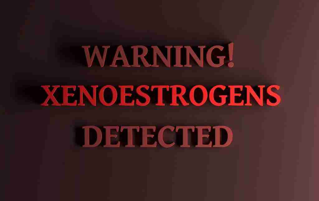 Xenoestrogens