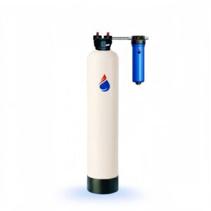 A single-tank whole-house water filtration system with one 10 x 54 GAC and catalytic carbon tank.